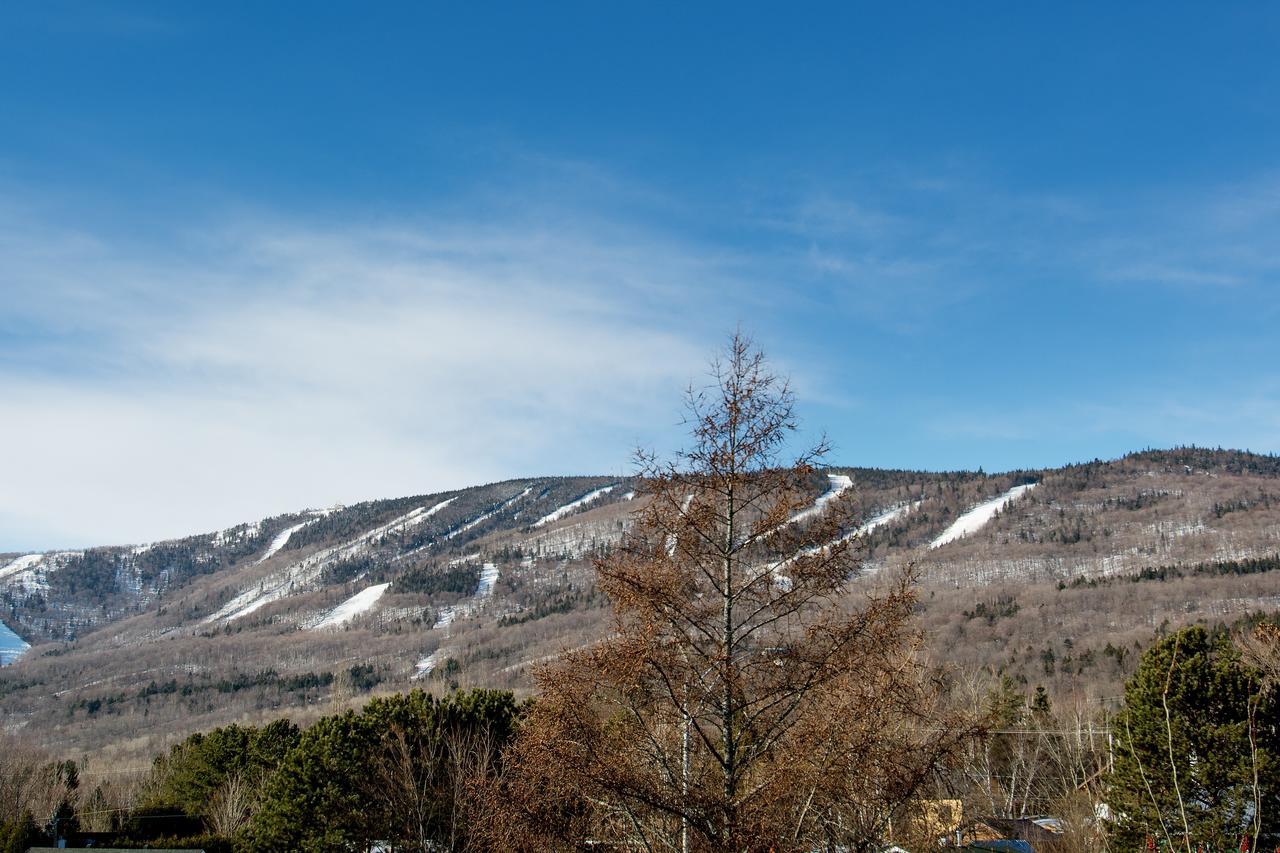 Apartmán L'Urbain Saint-Ferreol-les-Neiges Exteriér fotografie